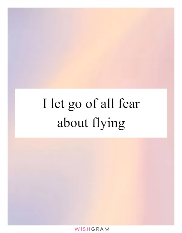 I let go of all fear about flying
