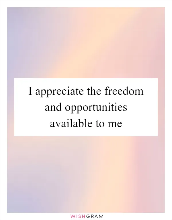 I appreciate the freedom and opportunities available to me