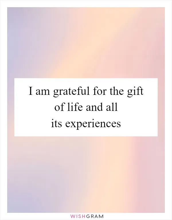 I am grateful for the gift of life and all its experiences
