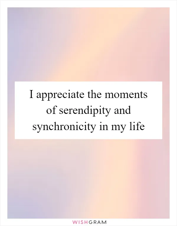 I appreciate the moments of serendipity and synchronicity in my life
