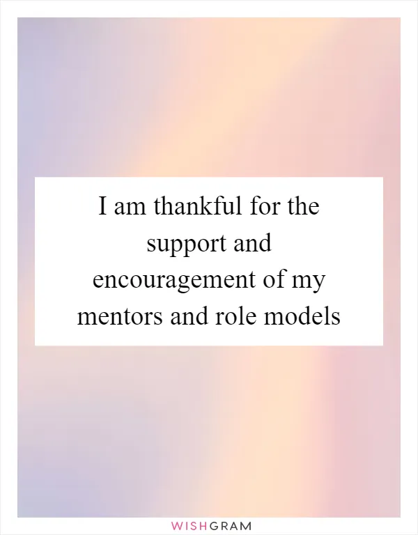 I am thankful for the support and encouragement of my mentors and role models