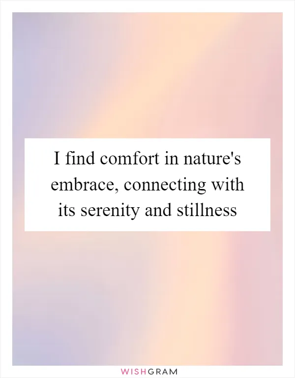 I find comfort in nature's embrace, connecting with its serenity and stillness