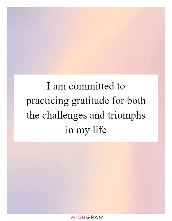 I am committed to practicing gratitude for both the challenges and triumphs in my life