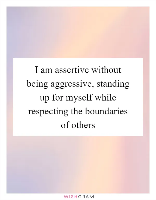 I am assertive without being aggressive, standing up for myself while respecting the boundaries of others