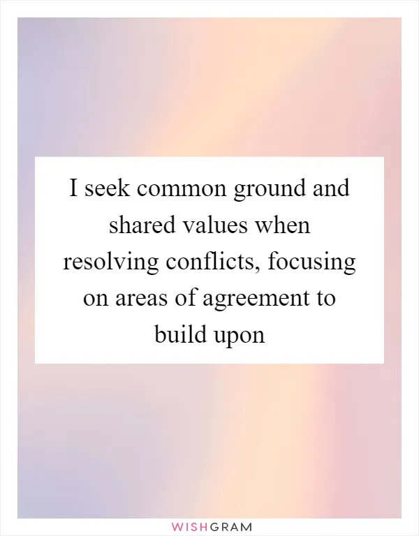 I seek common ground and shared values when resolving conflicts, focusing on areas of agreement to build upon