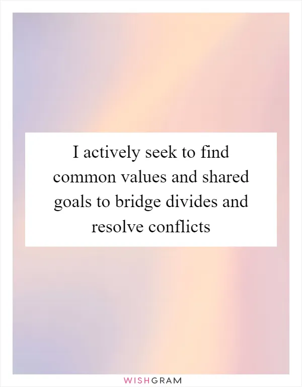I actively seek to find common values and shared goals to bridge divides and resolve conflicts