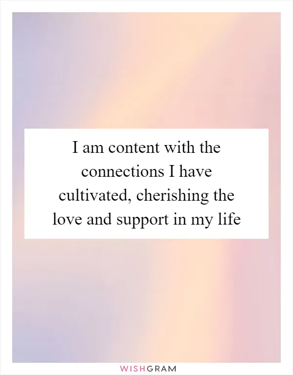 I am content with the connections I have cultivated, cherishing the love and support in my life