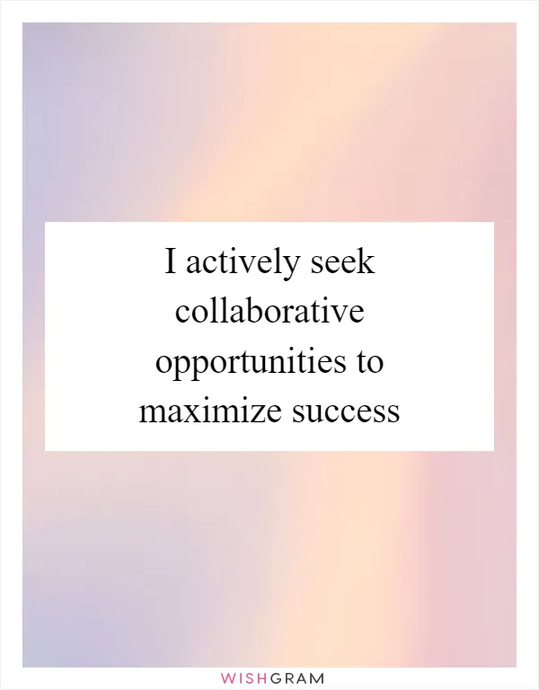 I actively seek collaborative opportunities to maximize success