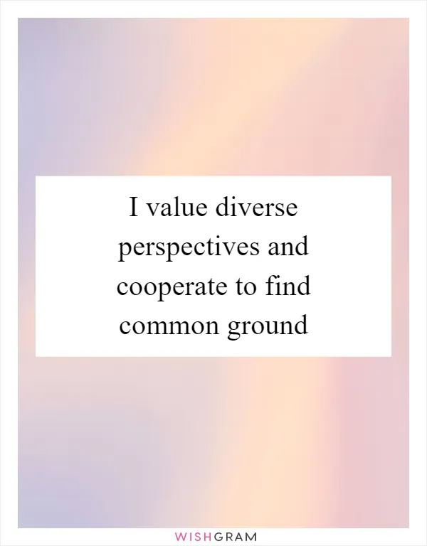 I value diverse perspectives and cooperate to find common ground