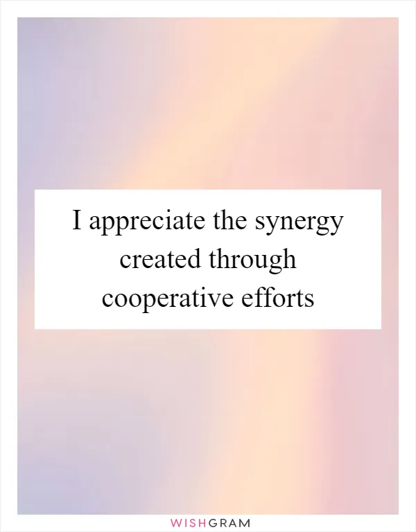 I appreciate the synergy created through cooperative efforts