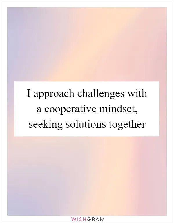 I approach challenges with a cooperative mindset, seeking solutions together