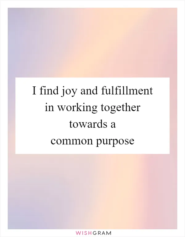 I find joy and fulfillment in working together towards a common purpose