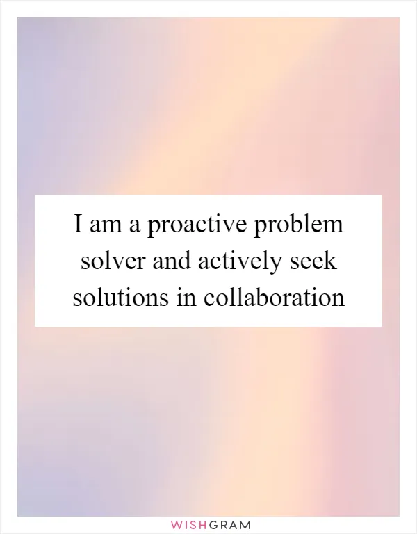 I am a proactive problem solver and actively seek solutions in collaboration