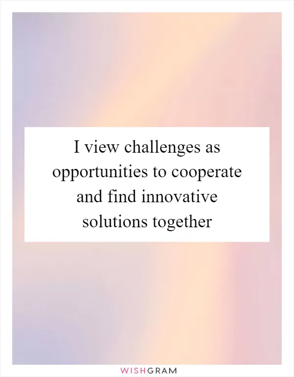 I view challenges as opportunities to cooperate and find innovative solutions together