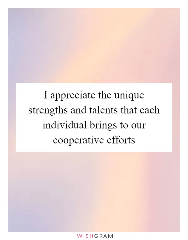 I appreciate the unique strengths and talents that each individual brings to our cooperative efforts