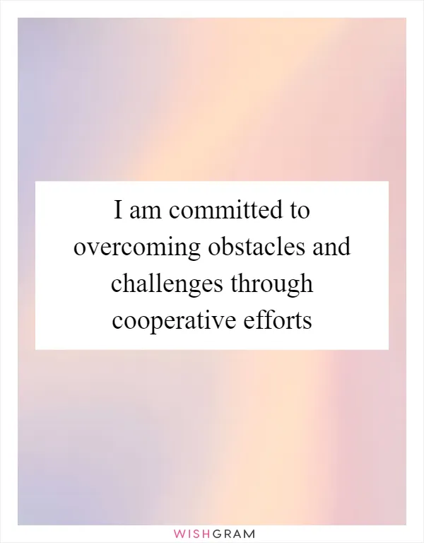 I am committed to overcoming obstacles and challenges through cooperative efforts