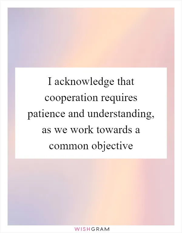 I acknowledge that cooperation requires patience and understanding, as we work towards a common objective