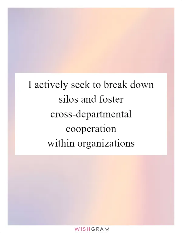 I actively seek to break down silos and foster cross-departmental cooperation within organizations