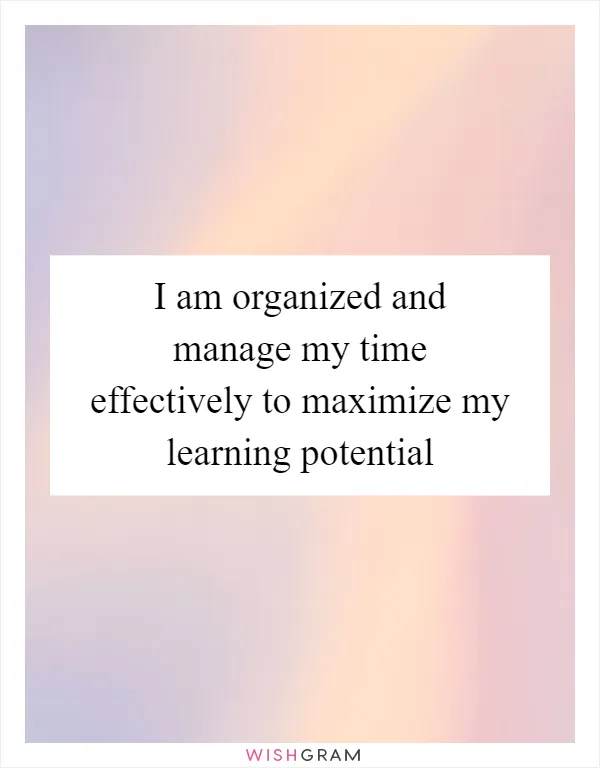 I am organized and manage my time effectively to maximize my learning potential