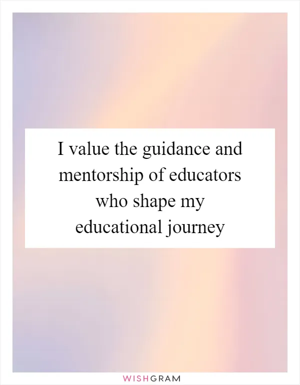 I value the guidance and mentorship of educators who shape my educational journey