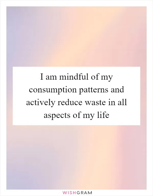 I am mindful of my consumption patterns and actively reduce waste in all aspects of my life