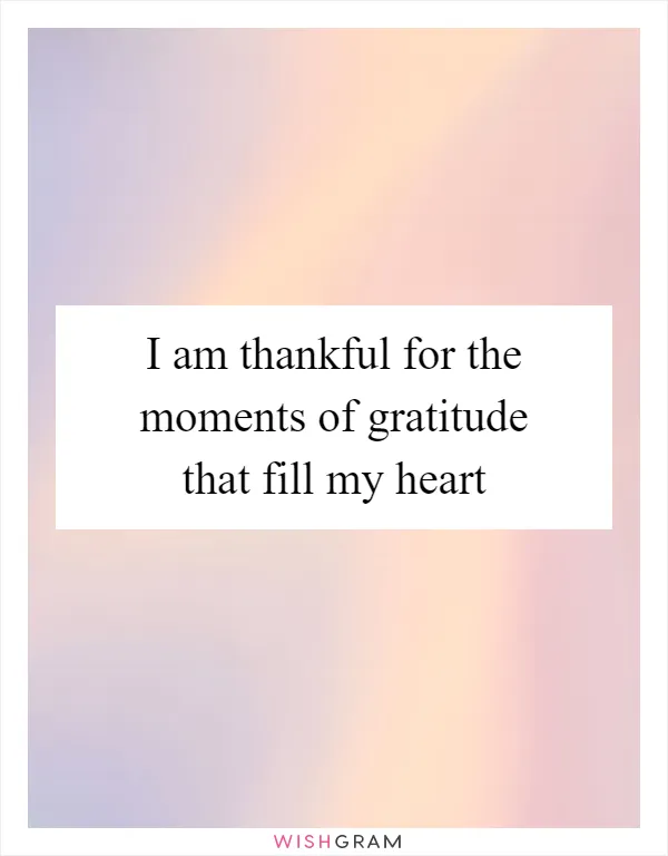 I am thankful for the moments of gratitude that fill my heart