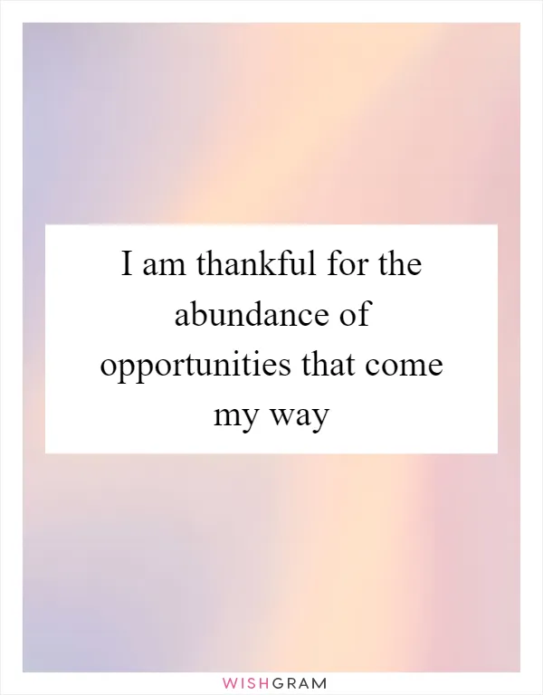 I am thankful for the abundance of opportunities that come my way