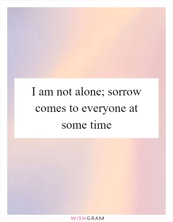 I am not alone; sorrow comes to everyone at some time
