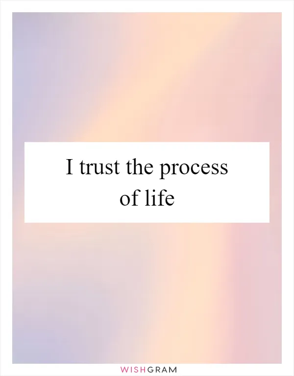 I trust the process of life
