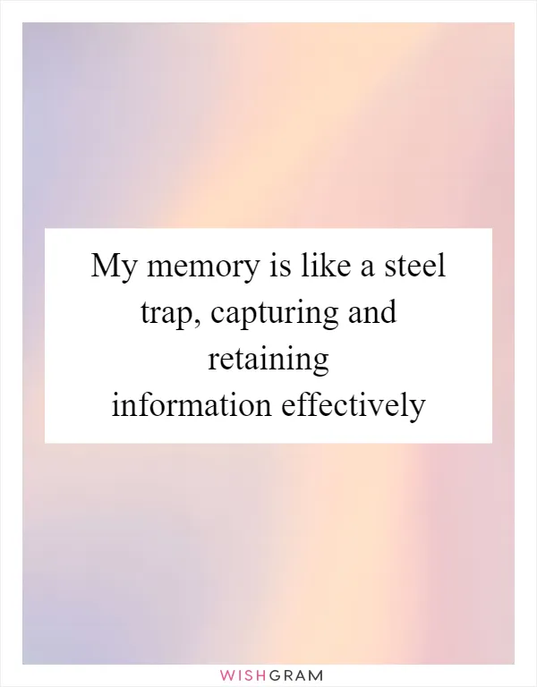 My memory is like a steel trap, capturing and retaining information effectively