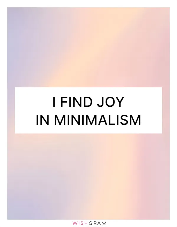 I find joy in minimalism