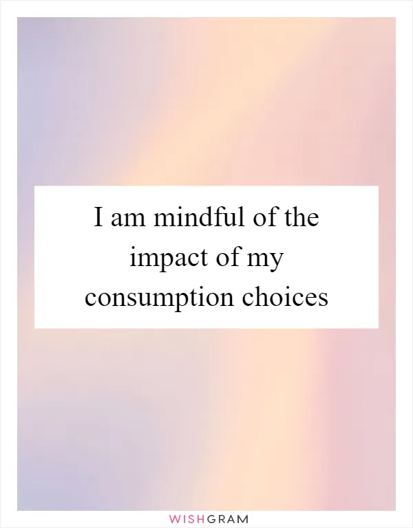I am mindful of the impact of my consumption choices