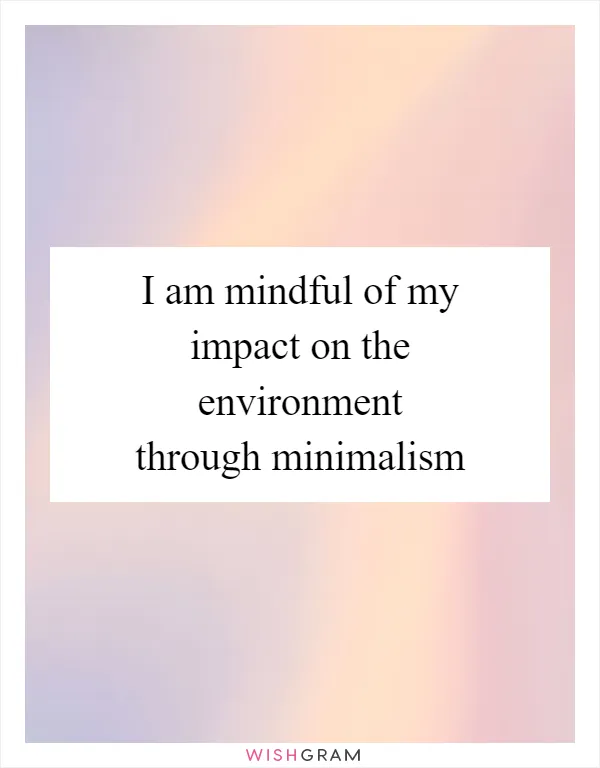 I am mindful of my impact on the environment through minimalism
