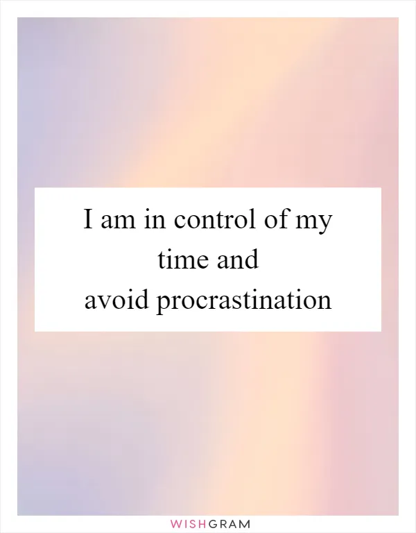 I am in control of my time and avoid procrastination