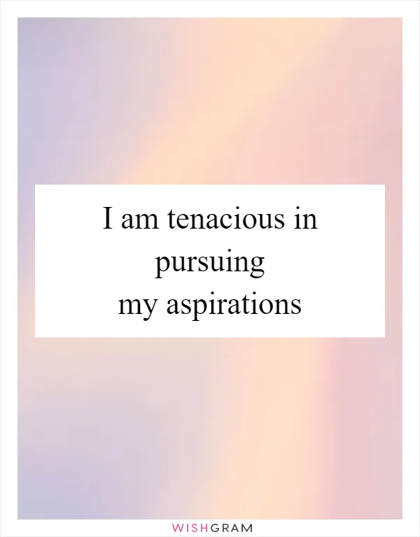 I am tenacious in pursuing my aspirations