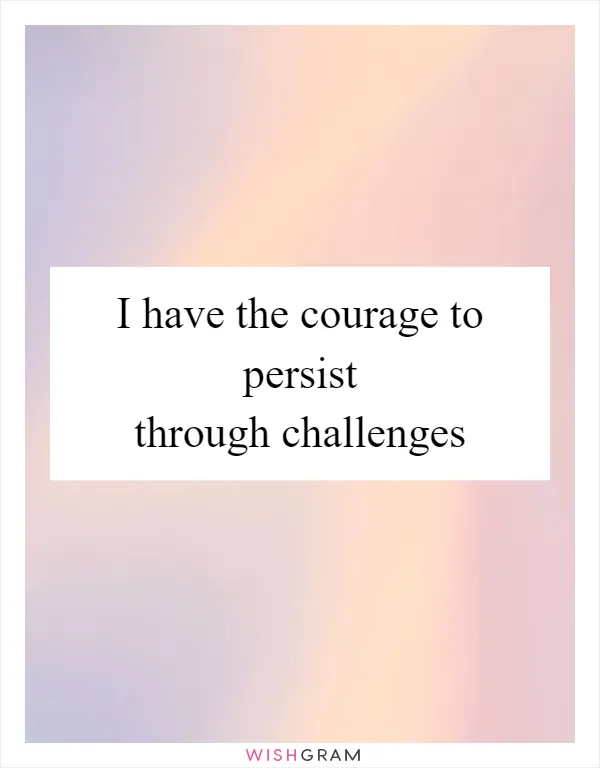 I have the courage to persist through challenges
