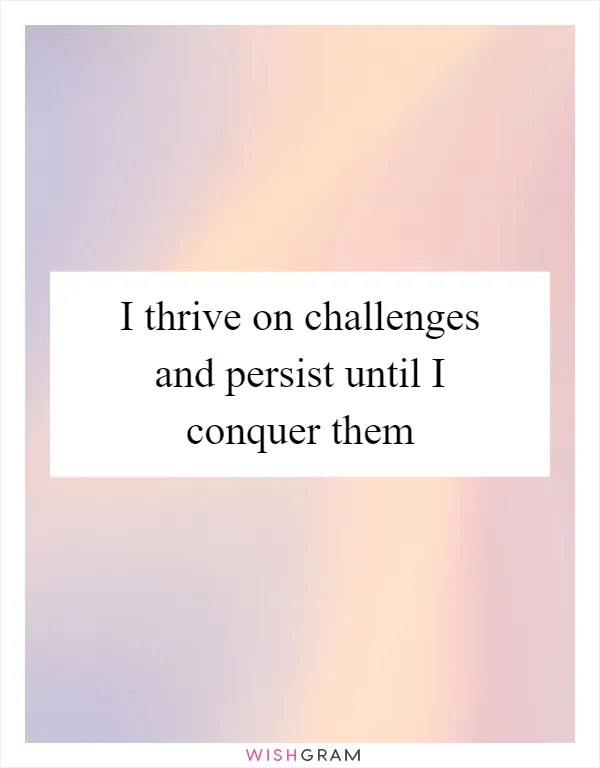 I thrive on challenges and persist until I conquer them