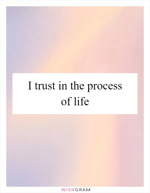 I trust in the process of life