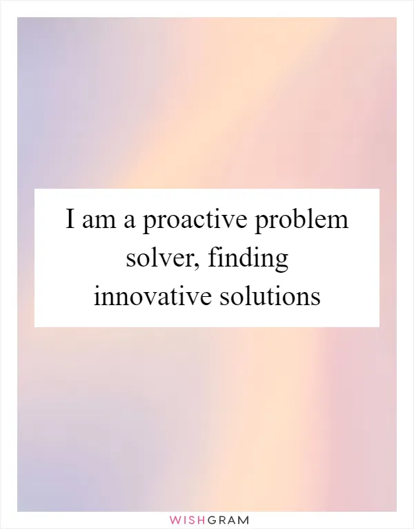 I am a proactive problem solver, finding innovative solutions