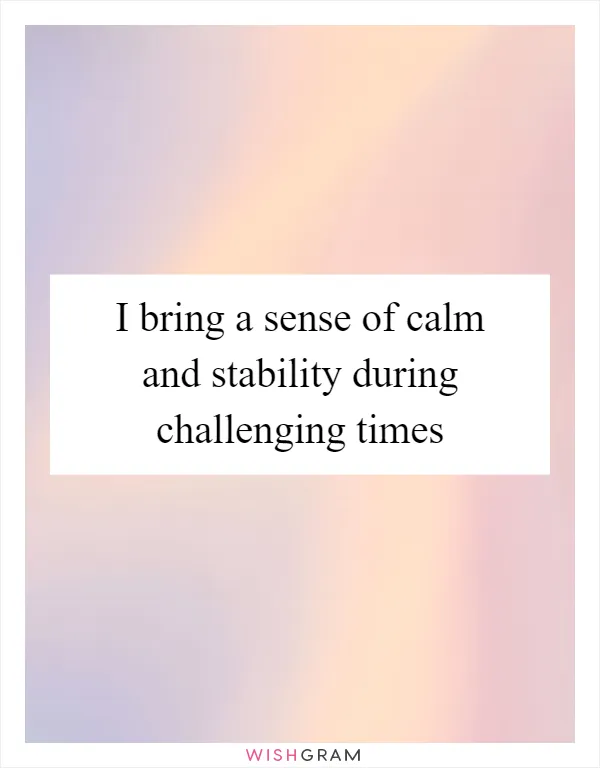 I bring a sense of calm and stability during challenging times