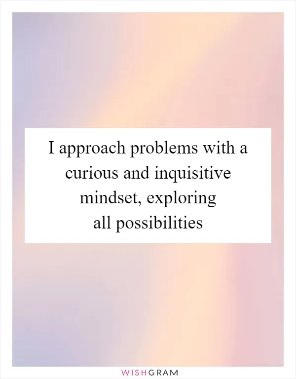 I approach problems with a curious and inquisitive mindset, exploring all possibilities