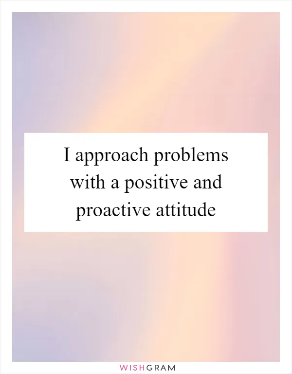 I approach problems with a positive and proactive attitude