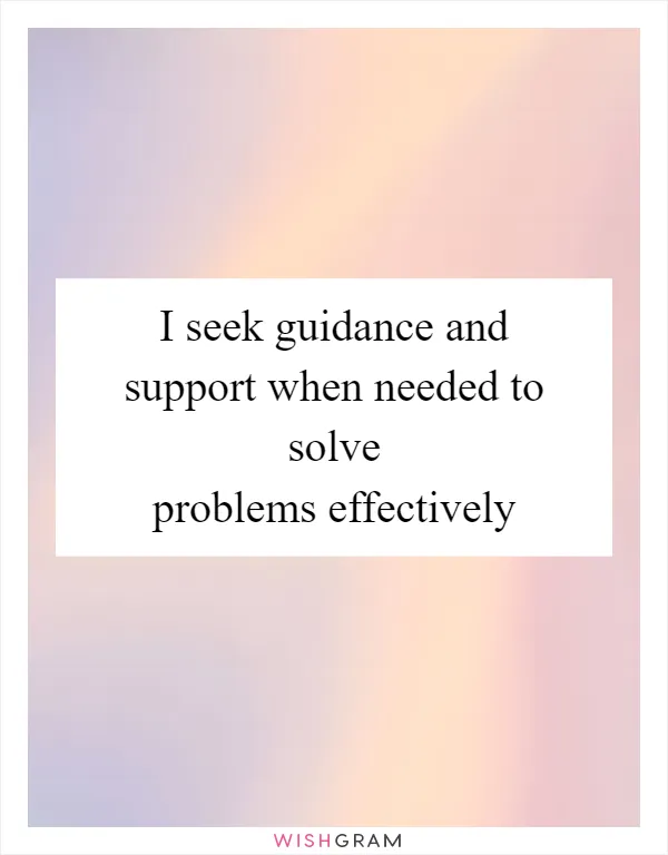 I seek guidance and support when needed to solve problems effectively