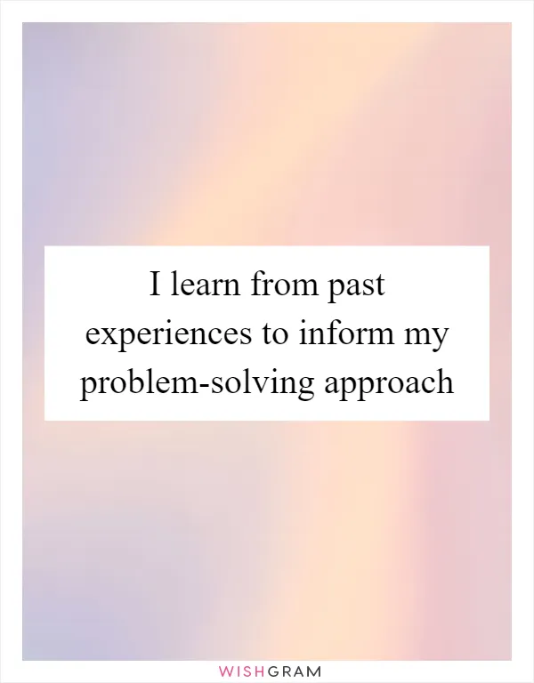 I learn from past experiences to inform my problem-solving approach