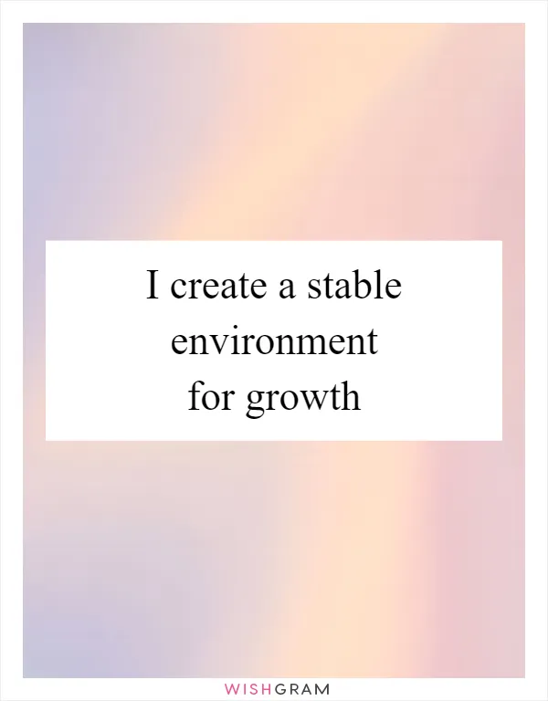 I create a stable environment for growth