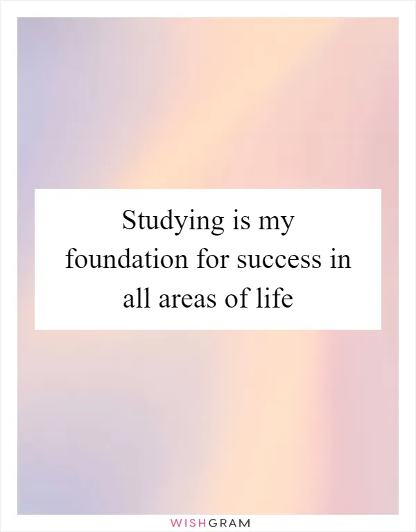 Studying is my foundation for success in all areas of life
