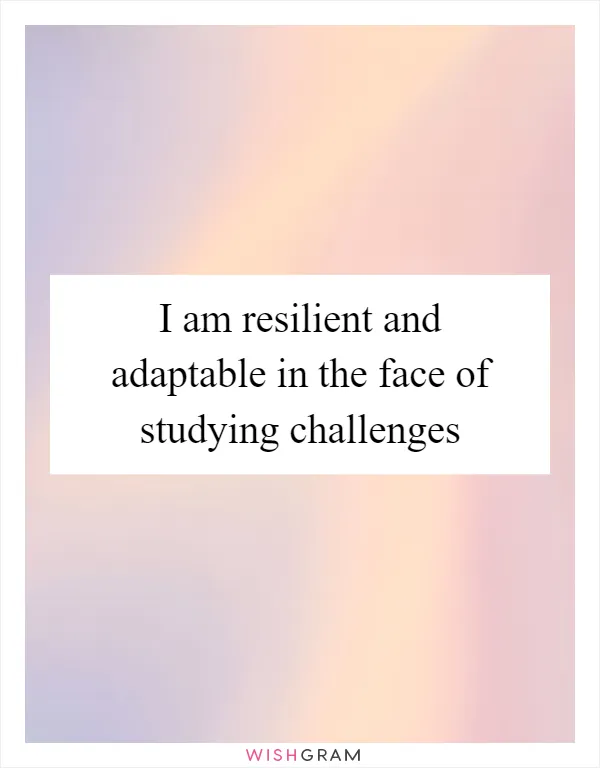 I am resilient and adaptable in the face of studying challenges