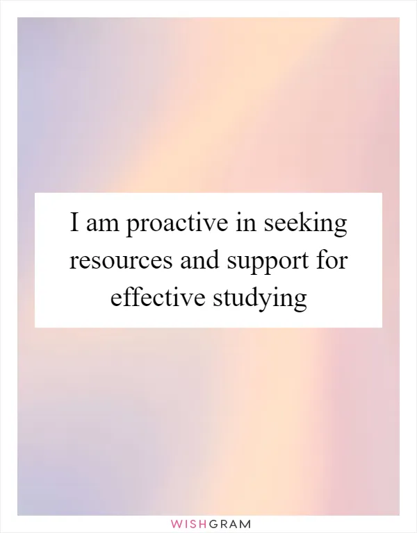 I am proactive in seeking resources and support for effective studying