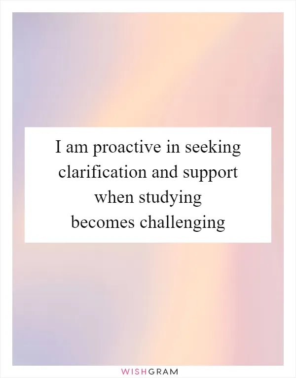 I am proactive in seeking clarification and support when studying becomes challenging