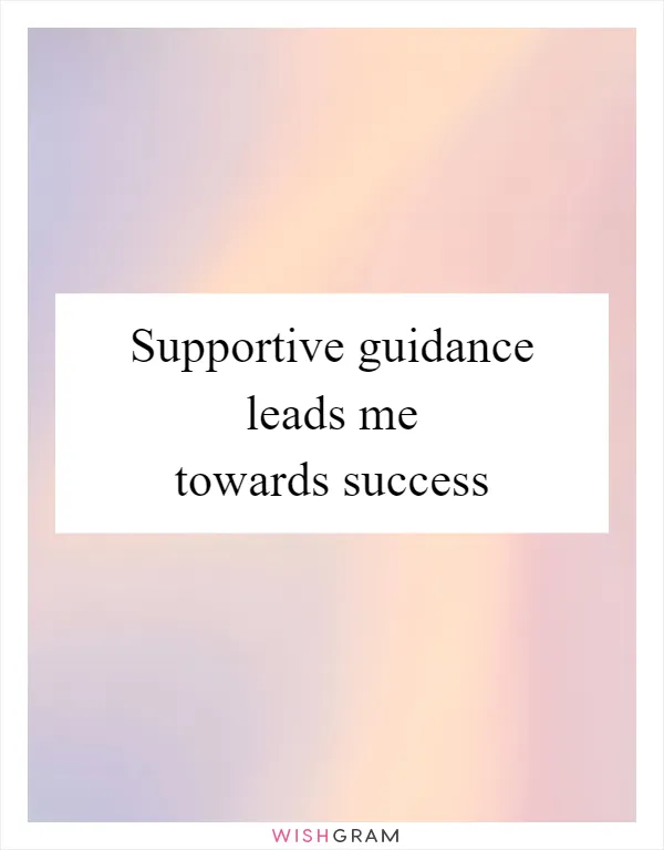 Supportive guidance leads me towards success